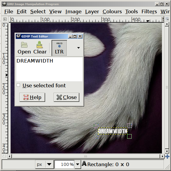 A screenshot showing me using the Text tool to write 'DREAMWIDTH', which shows up in a small font near the bottom-right of the photo that's loaded.