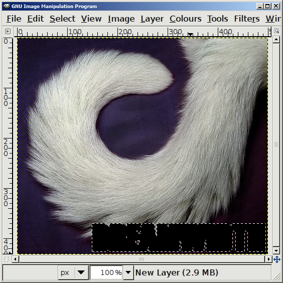 The cat macro image so far; the selection on the bottom-right is now completely filled with black.