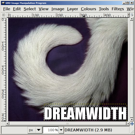 The cat macro image again, this time with the white text layer on top of the enlarged black one.